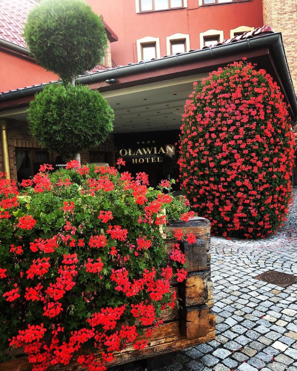 Olawian Hotel 와와 외부 사진